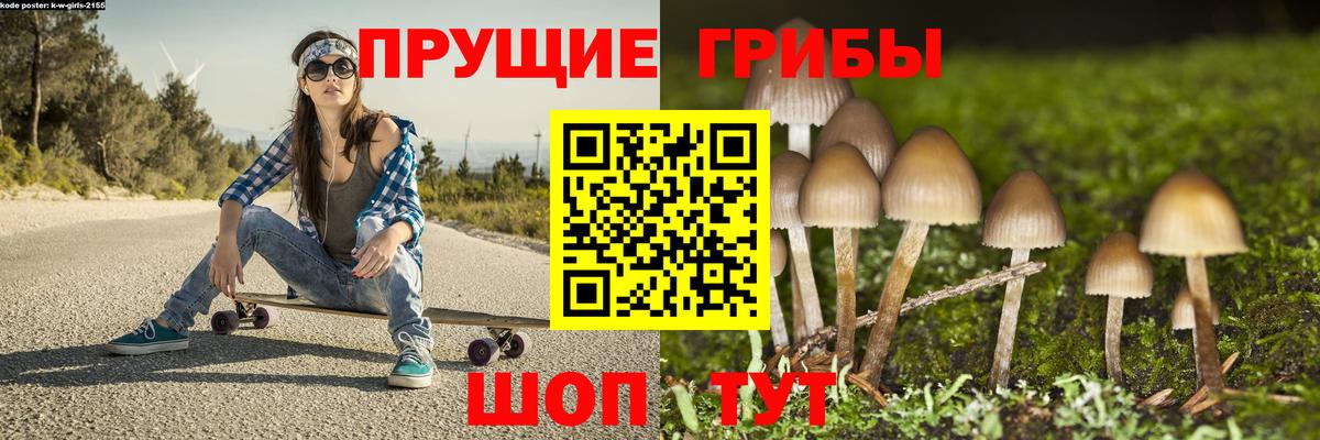 Галлюциногенные грибы мицелий  купить закладку  Рязань  Вход с VPN  Галлюциногенные грибы Psilocybine cubensis 